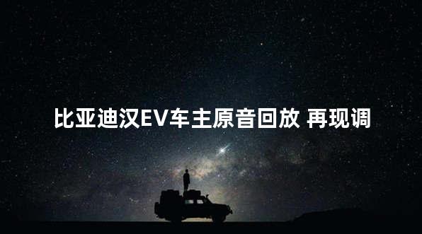 比亚迪汉EV车主原音回放 再现调查现场